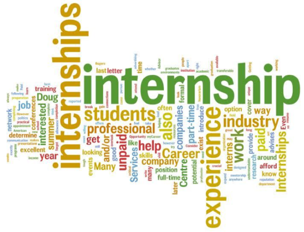 senior internship program 